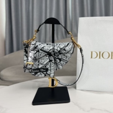 Christian Dior Saddle Bags